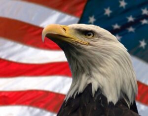All South Gate Thrive website designs are created in the USA
