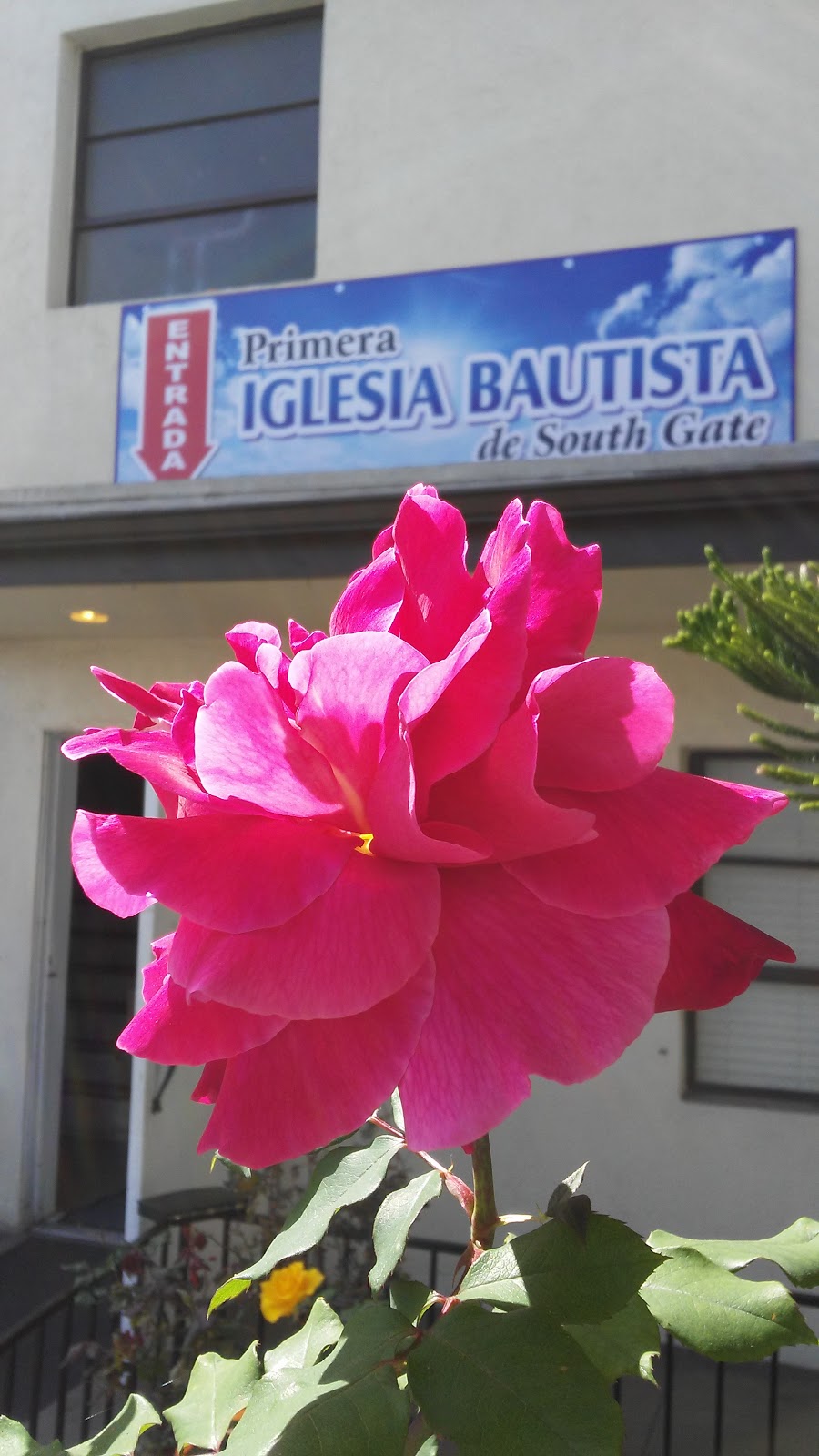 Primera Iglesias Bautista De